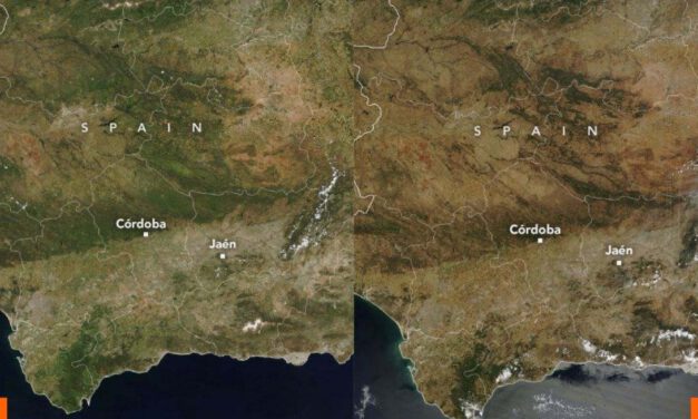 La NASA ilustra la grave situación del olivar andaluz con unas contundentes fotografías