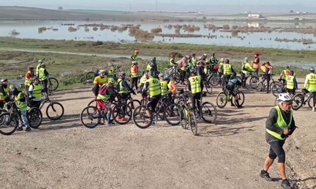 Medio Ambiente organiza una nueva ruta en bici el domingo 28 denominada 'Laguna Pozo Lozano, Viñedos y Mosto'