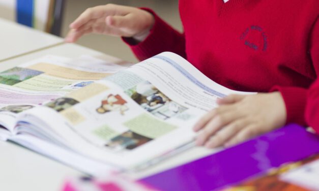 Un test nacional entre niños españoles de 6 a 12 años evaluará su comprensión lectora