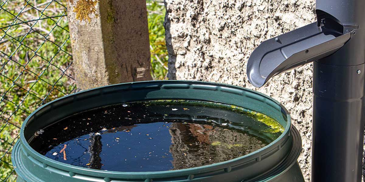 Medio Ambiente recomienda algunas medidas preventivas para evitar la proliferación de mosquitos