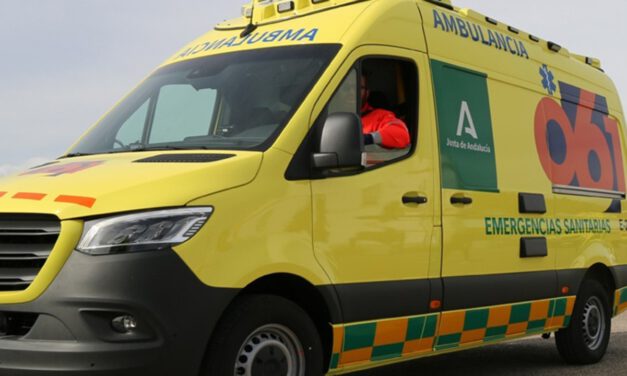 Un niño de 6 años alerta a Emergencias y guía a los médicos hasta su madre, inconsciente