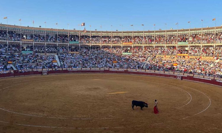 Fallados los premios taurinos 'De Sal y Oro' de esta Temporada 2024