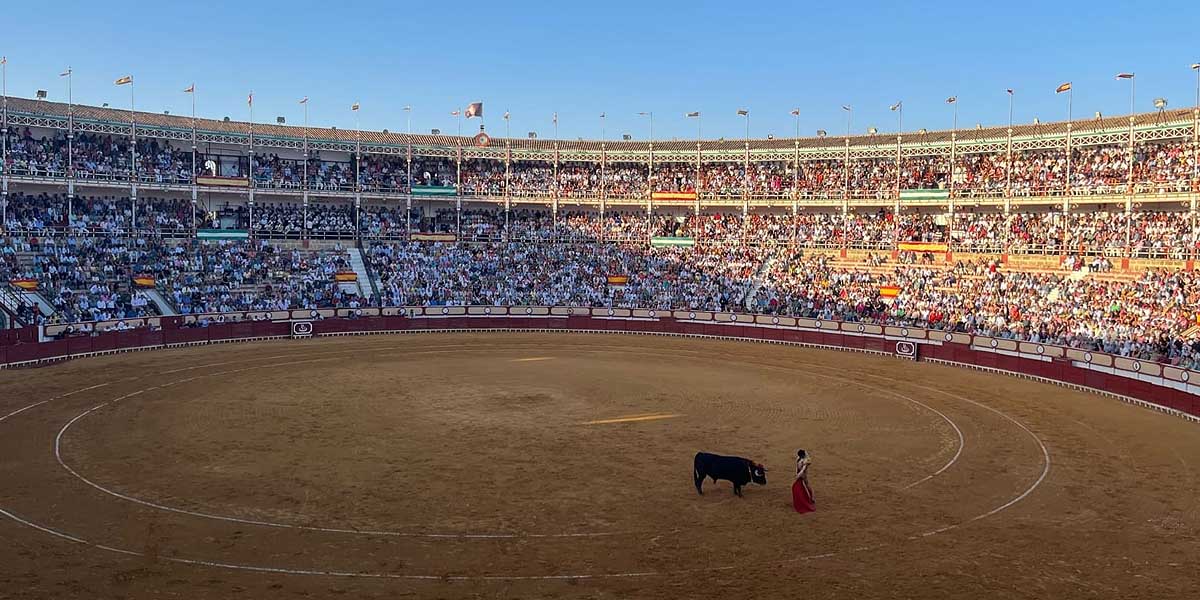 Fallados los premios taurinos 'De Sal y Oro' de esta Temporada 2024