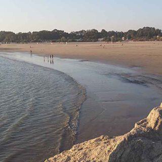 El Paseo organiza una jornada de limpieza en la Playa de La Puntilla por el WorldCleanup Day