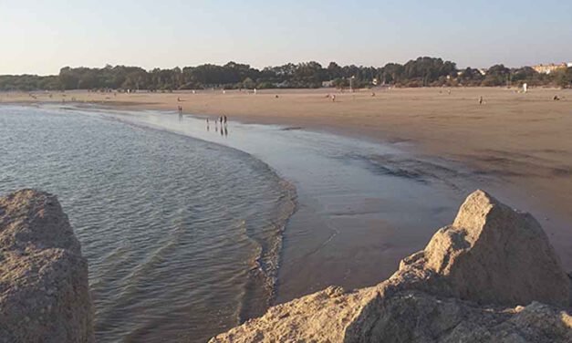 Recogida de basura en el espigón de La Puntilla el domingo 21 de septiembre