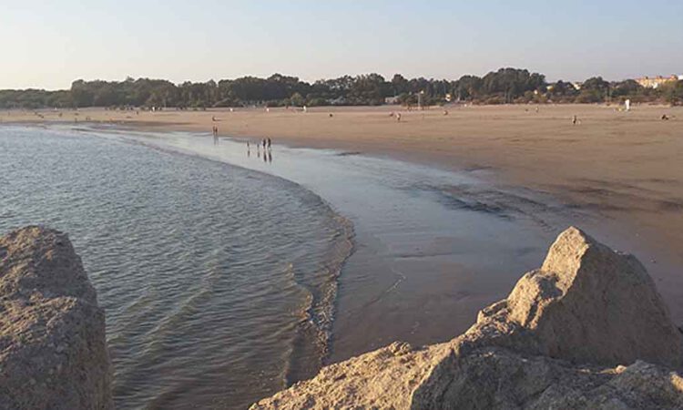 El Paseo organiza una jornada de limpieza en la Playa de La Puntilla por el WorldCleanup Day