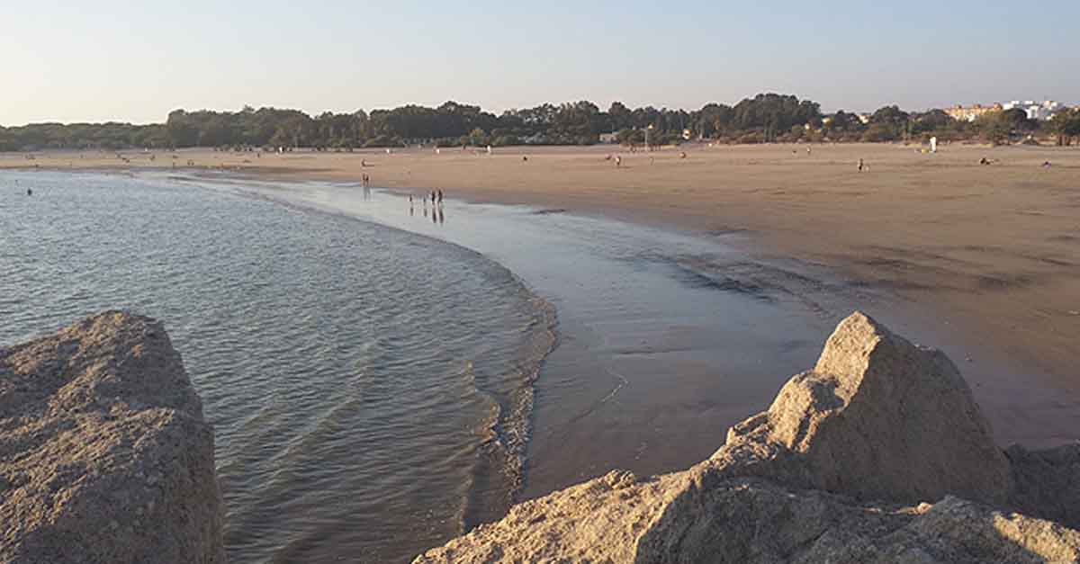 El Paseo organiza una jornada de limpieza en la Playa de La Puntilla por el WorldCleanup Day