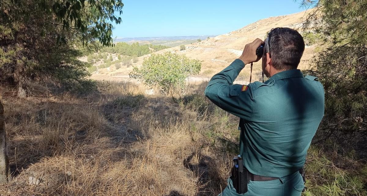 Localizada la avioneta que se perdió en Jaén con los cadáveres de sus tripulantes