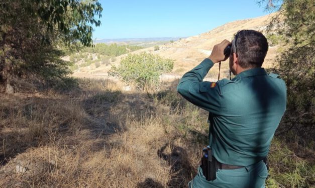 Localizada la avioneta que se perdió en Jaén con los cadáveres de sus tripulantes