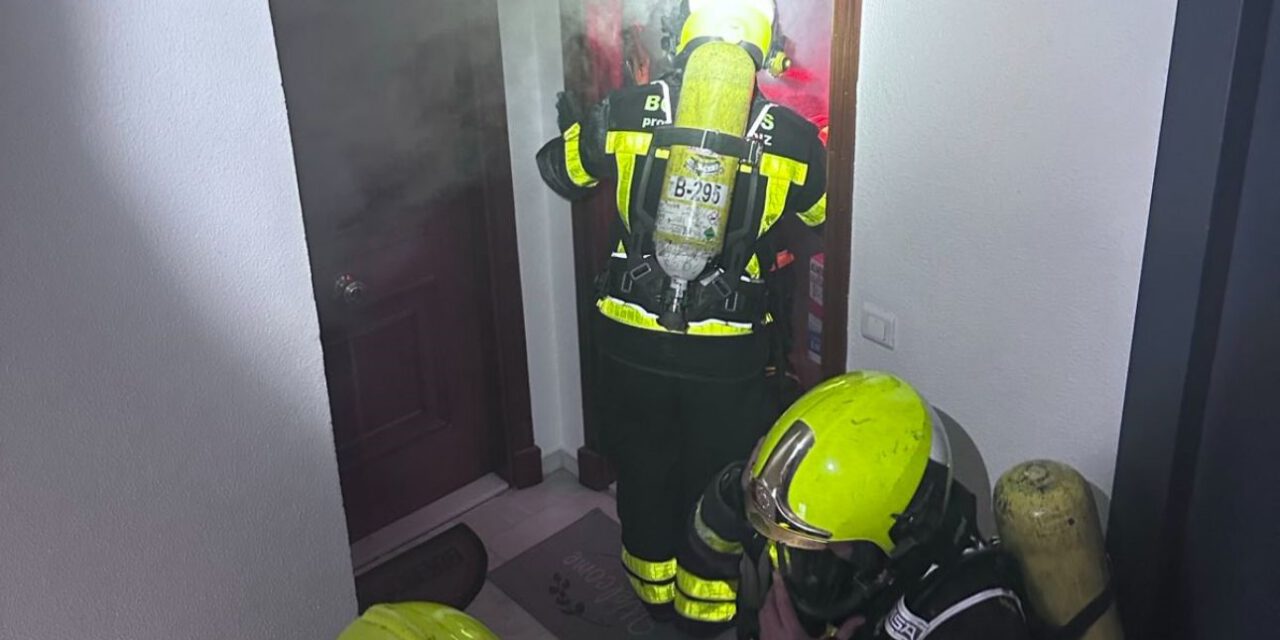 Rescatan con vida a un gato en el incendio de una vivienda en El Puerto