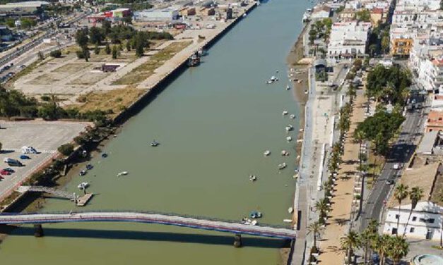 Aprobada la licencia de construcción de una nave módulo de engorde de seriola en El Puerto