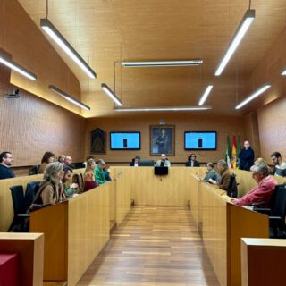 El Ayuntamiento de El Puerto aprueba en Pleno la solicitud del ambicioso Plan de Actuación Integral (PAI)