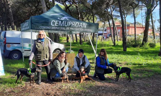 El Puerto refuerza el Cemuproan con más medios, liderando el avance hacia el bienestar animal y el sacrificio cero