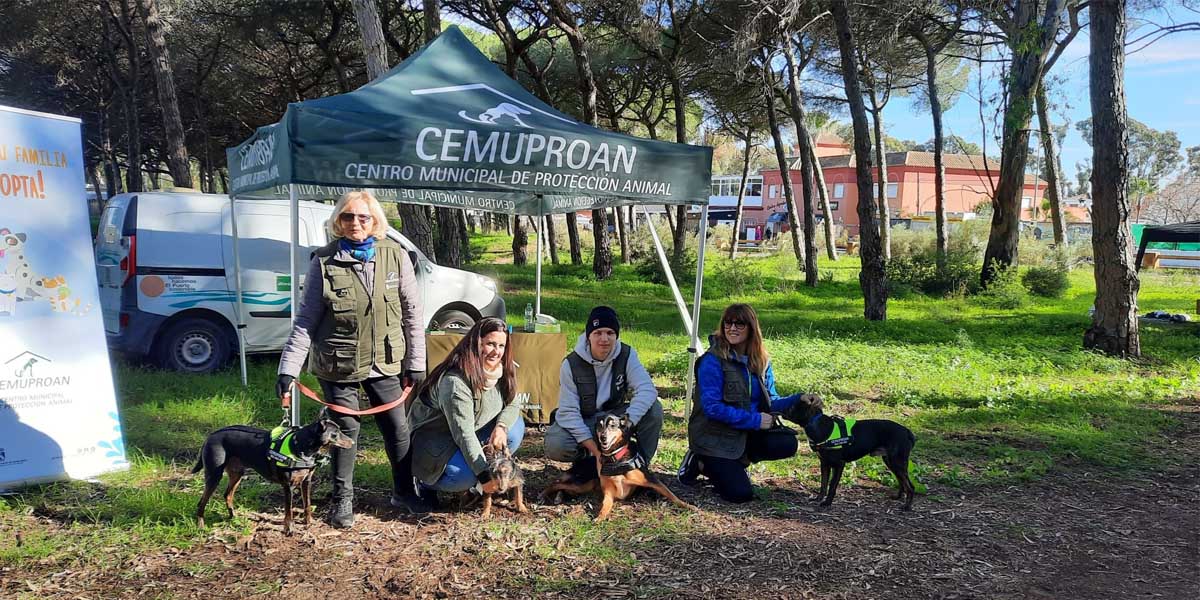 El Puerto refuerza el Cemuproan con más medios, liderando el avance hacia el bienestar animal y el sacrificio cero