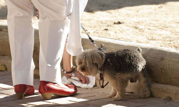 El Ayuntamiento de El Puerto inicia una campaña para que los ciudadanos recojan los excrementos de sus perros