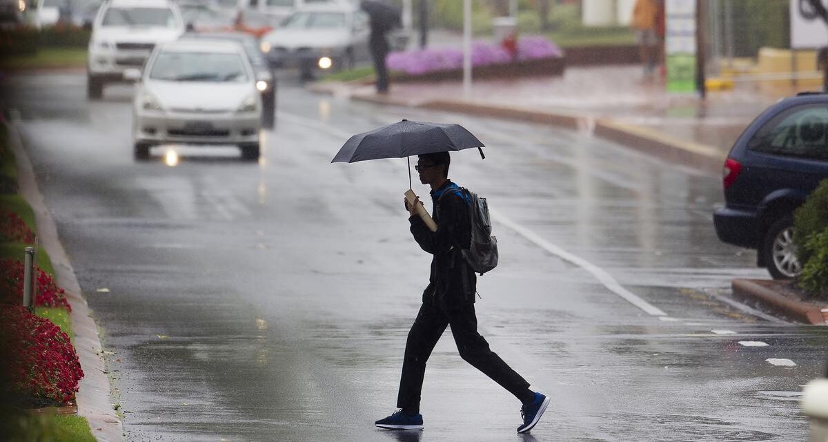 La lluvia dará una tregua el fin de semana y las precipitaciones volverán con borrascas