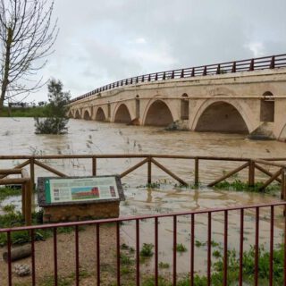 Andalucía roza las 3.000 incidencias desde el inicio del tren de borrascas