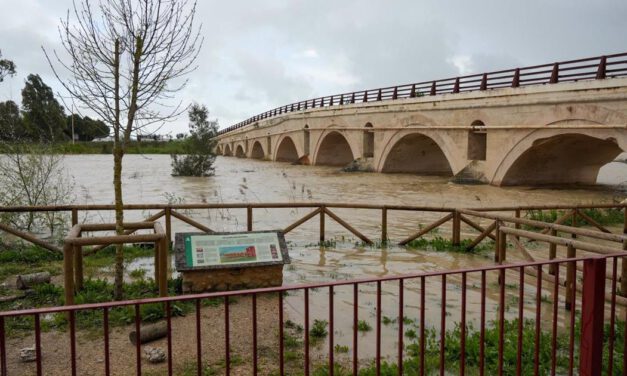 Andalucía roza las 3.000 incidencias desde el inicio del tren de borrascas
