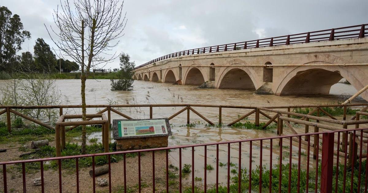 Andalucía roza las 3.000 incidencias desde el inicio del tren de borrascas