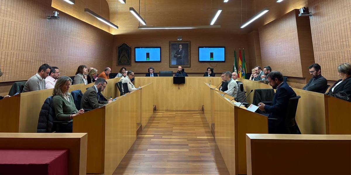 El Pleno de El Puerto reclama al Gobierno poder invertir su superávit