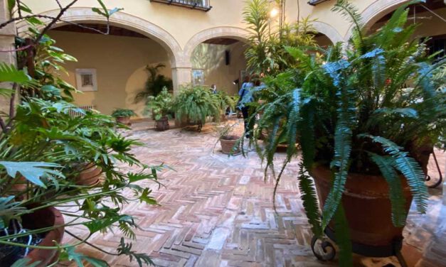 La Fiesta de los Patios del Nani: Entre tradición y autenticidad