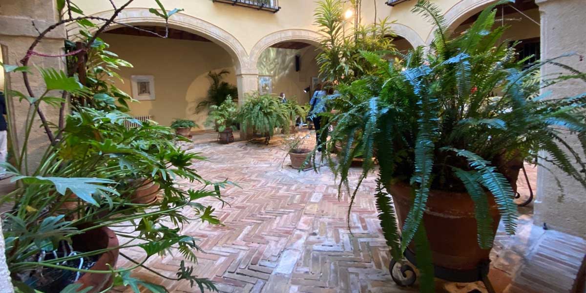 La Fiesta de los Patios del Nani: Entre tradición y autenticidad
