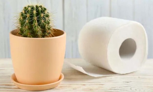 ¿Afecta el calor a las hemorroides?