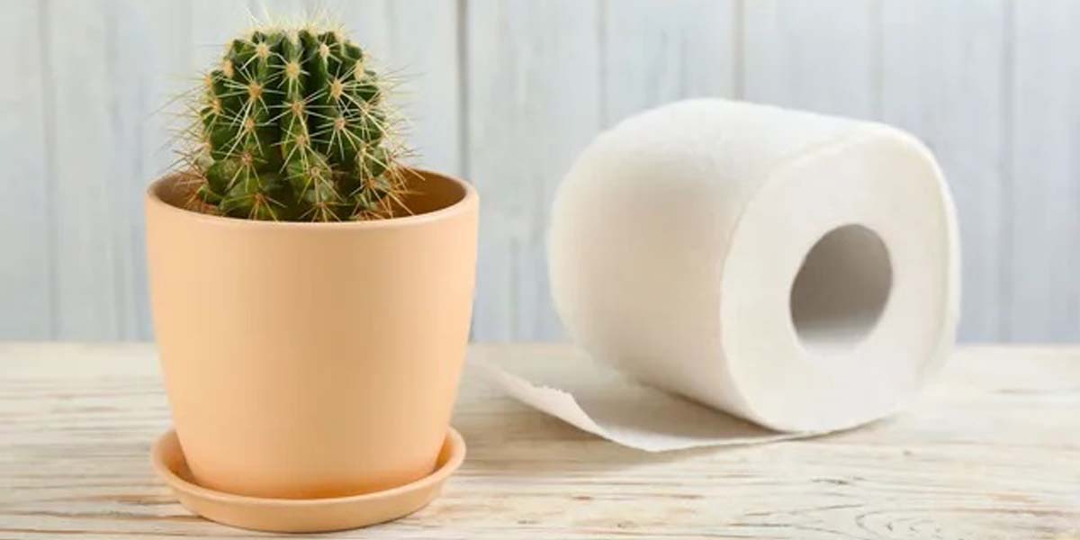 ¿Afecta el calor a las hemorroides?