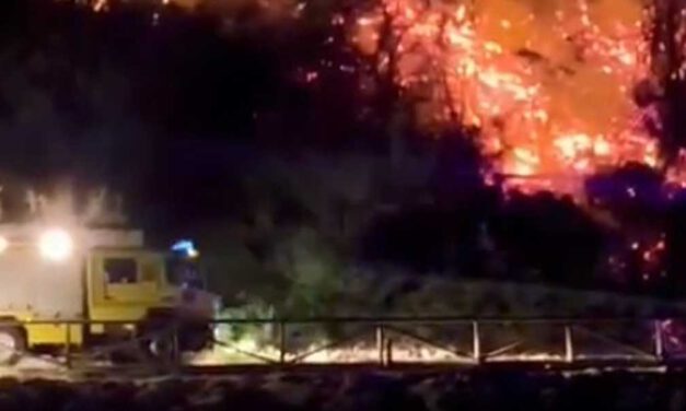 Contenido un incendio cerca de viviendas entre Las Redes y Vistahermosa