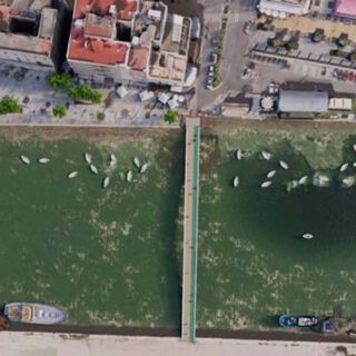 Adjudicada la construcción de la segunda pasarela peatonal sobre el Guadalete