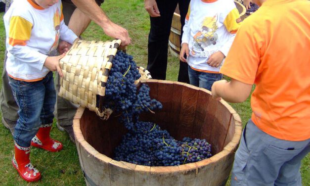 El Paseo se sumerge en la cultura del viñedo con un taller infantil didáctico