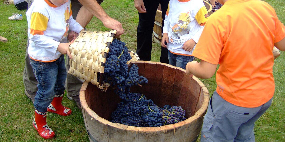 El Paseo se sumerge en la cultura del viñedo con un taller infantil didáctico
