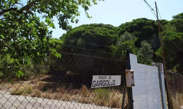 La Junta tumba el proyecto del ecoresort de lujo previsto en el pinar de El Gargollo