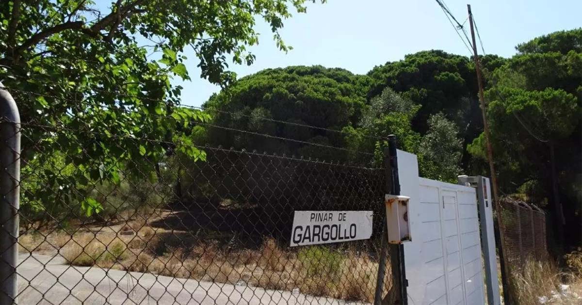 La Junta tumba el proyecto del ecoresort de lujo previsto en el pinar de El Gargollo