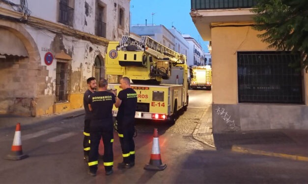 El PSOE alerta del riesgo de desprendimientos en una finca de calle Luja