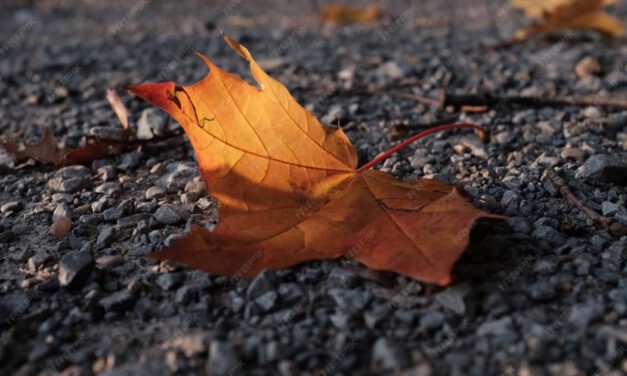 Otoño
