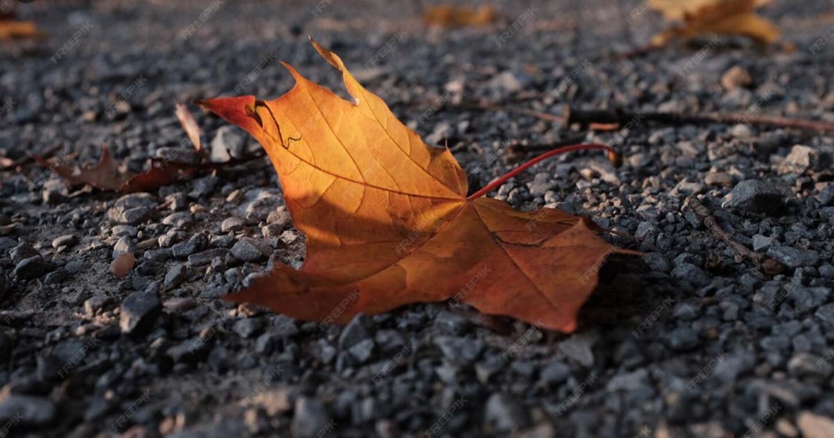 Otoño