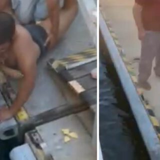 Rescatan a un perro atrapado junto al catamarán en el muelle de El Puerto