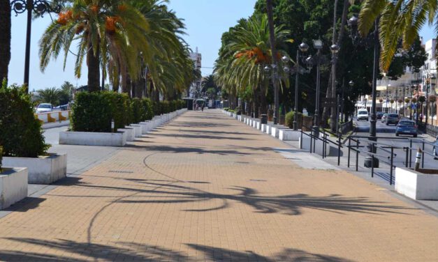 El Ayuntamiento de El Puerto inicia la repoblación de palmeras en el Parque Calderón