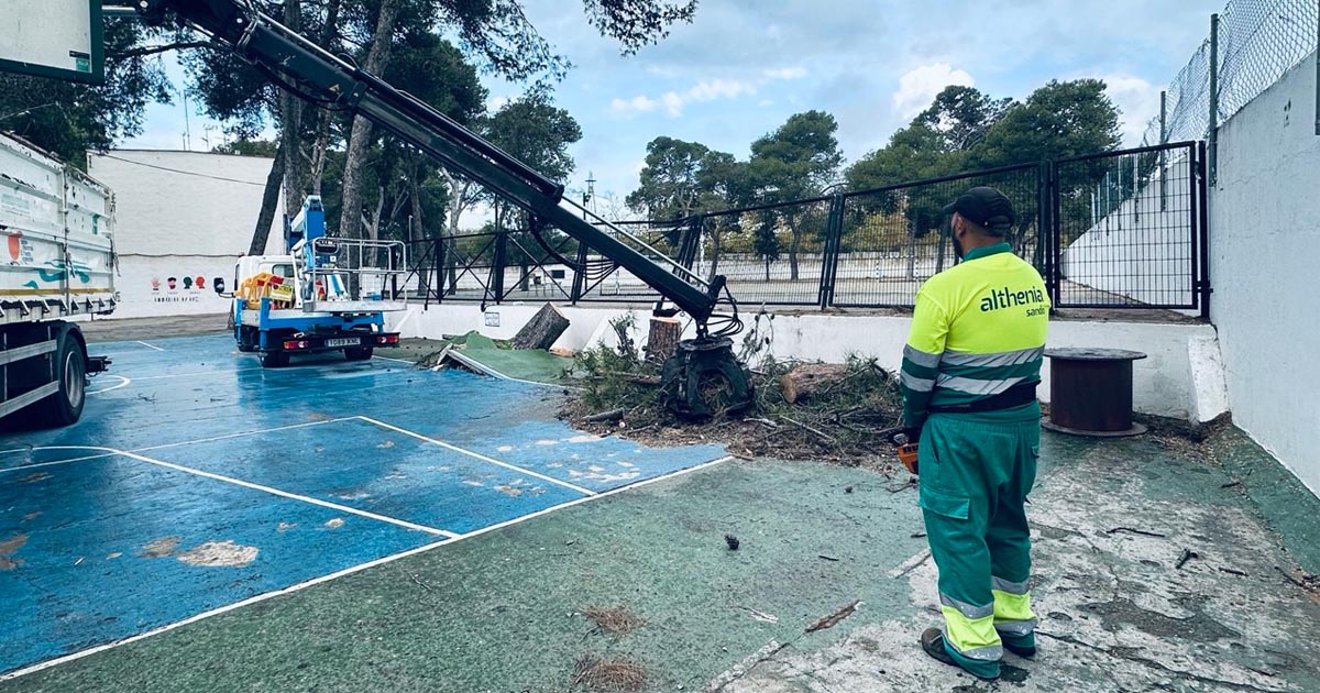 Nuevas labores de poda y mantenimiento en los colegios portuenses