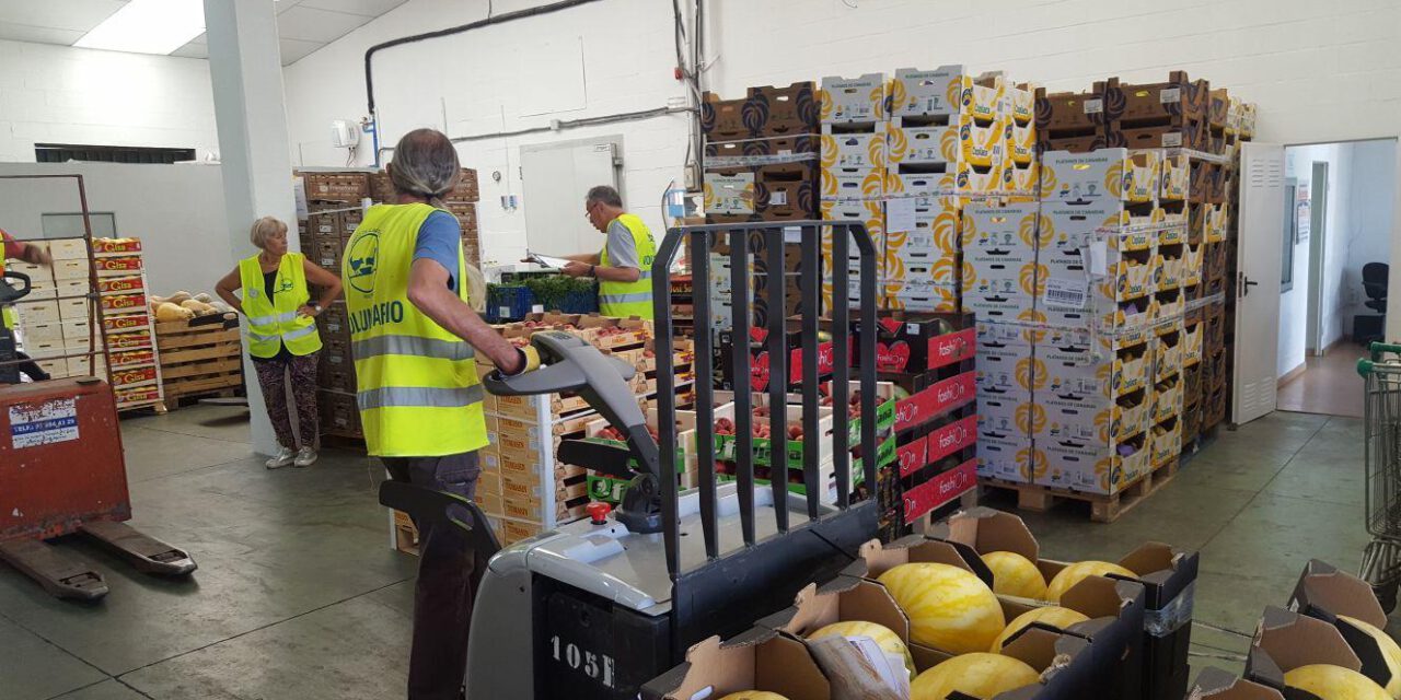 El Puerto se suma a la Gran Recogida 2025 los días 7 y 8 de noviembre