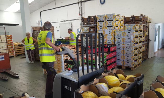 El Puerto se suma a la Gran Recogida 2025 los días 7 y 8 de noviembre