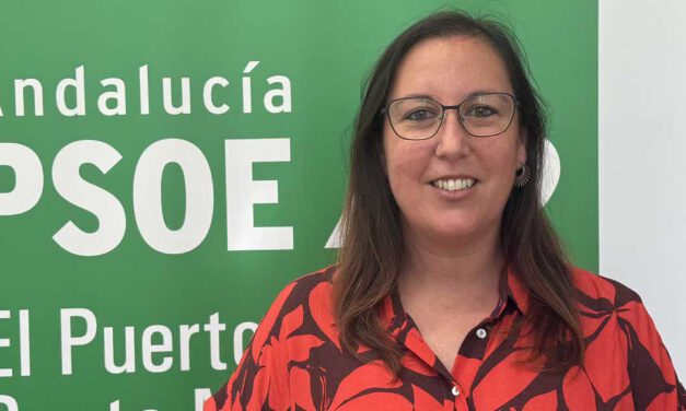 El PSOE reclama reactivar el Consejo Municipal de Igualdad y recuperar las actividades del 25N