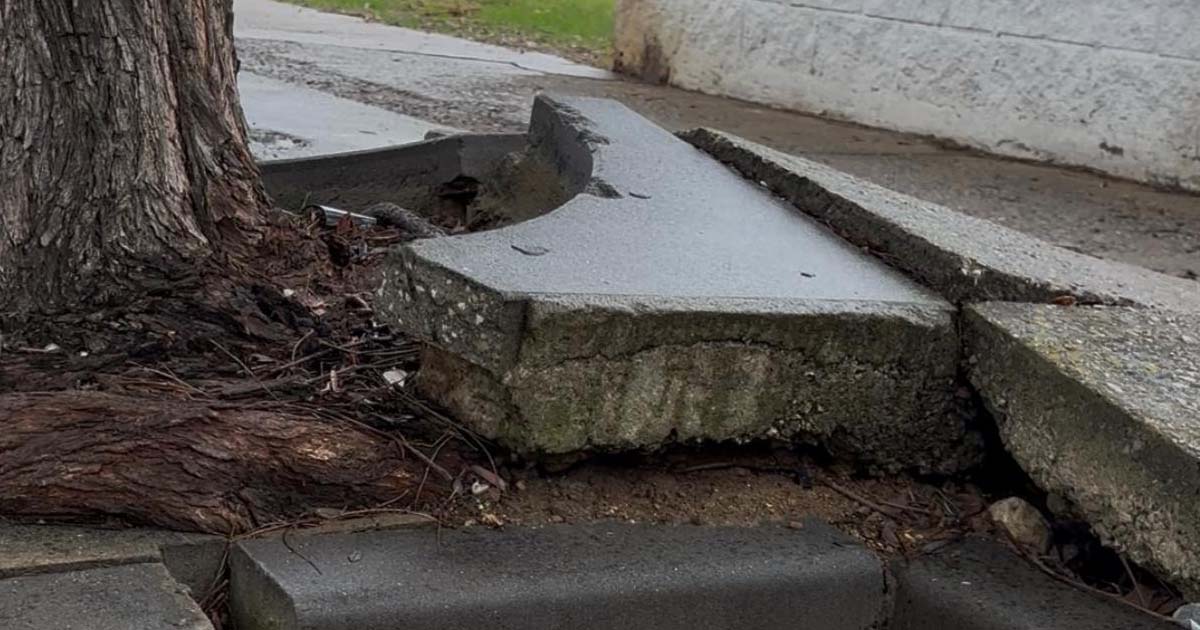 El PSOE reclama un plan completo de mantenimiento para El Juncal