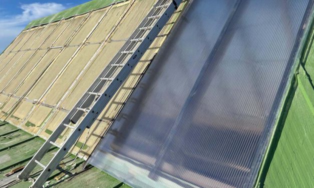 El Pabellón Ramón Velázquez mejora su lucernario con nuevas placas de policarbonato