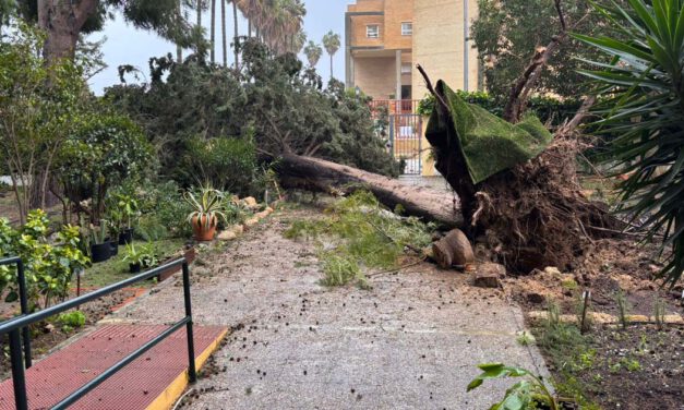 El temporal sacude El Puerto con árboles caídos, cortes de tráfico y alerta en el Guadalete