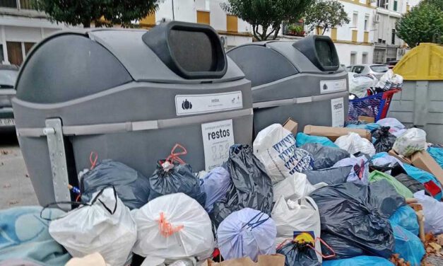 El PSOE lleva al Pleno una moción para revisar los nuevos contenedores y la limpieza viaria en los barrios