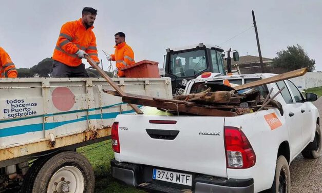 Las cuadrillas municipales trabajan desde primera hora para retirar los daños del temporal