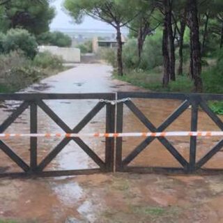 El temporal obliga al cierre preventivo de parques e instalaciones deportivas este miércoles El temporal obliga al cierre preventivo de parques e instalaciones deportivas este miércoles