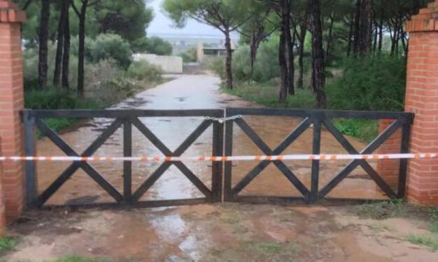 El temporal obliga al cierre preventivo de parques e instalaciones deportivas este miércoles